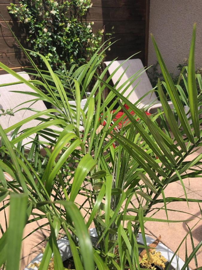 La Terrasse Apartment Port Vendres Ngoại thất bức ảnh