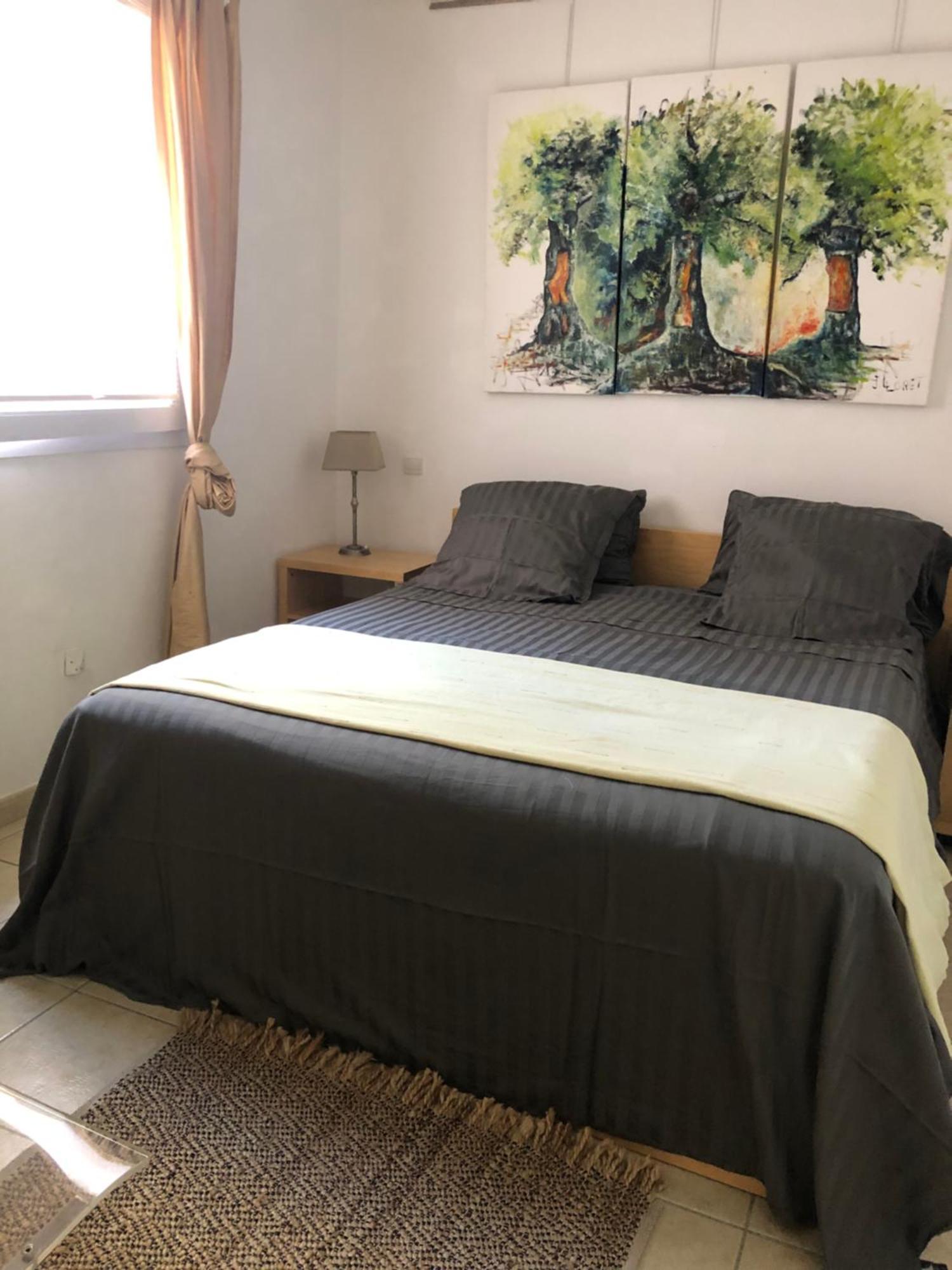 La Terrasse Apartment Port Vendres Ngoại thất bức ảnh